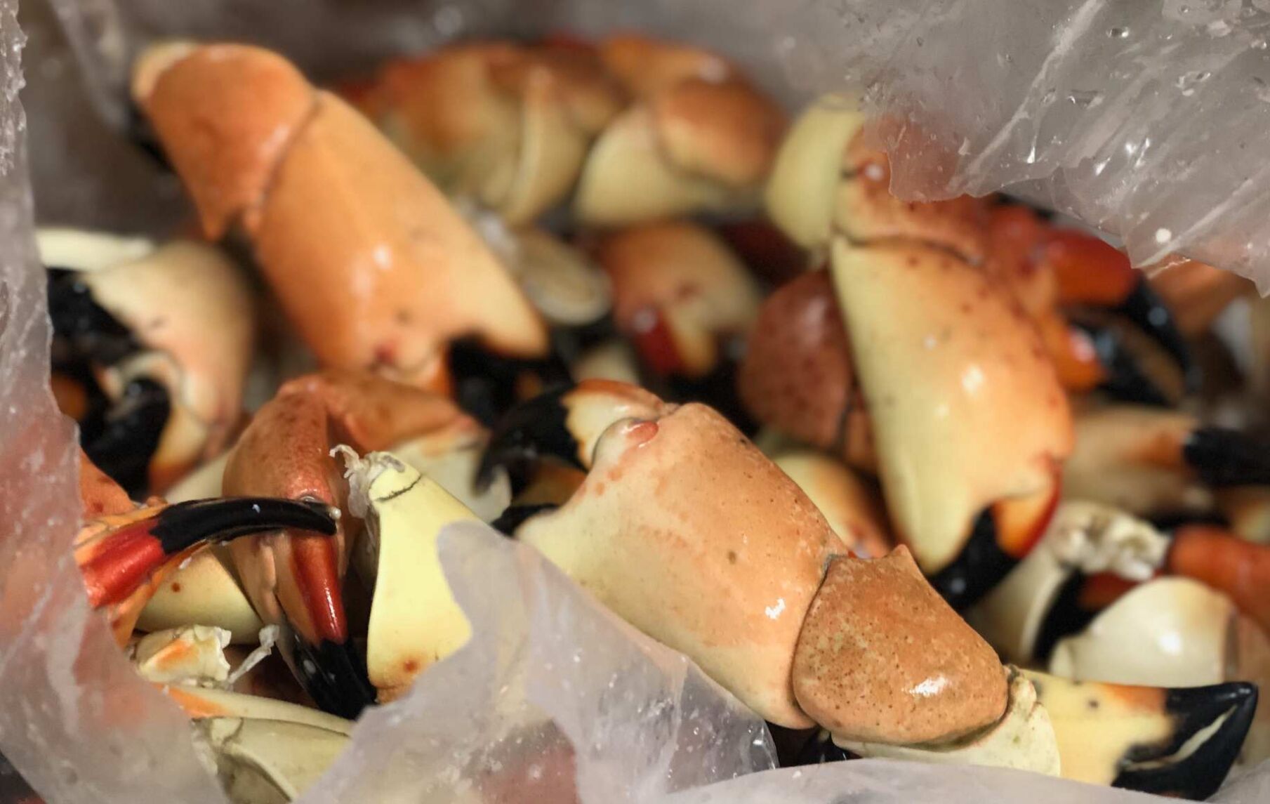 Boaters Stone Crabs SM.jpg
